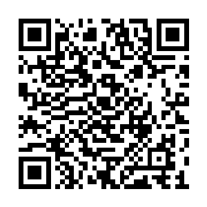 那金色巨龙比之刚才那条不但身形要粗壮了许多二维码生成
