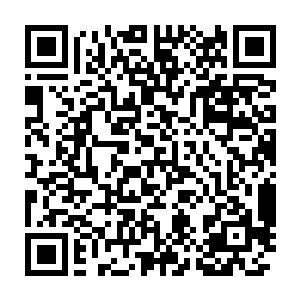 那钉死在少女六翼上的灰色石钉上也再度激射出一道道璀璨的白色电芒二维码生成