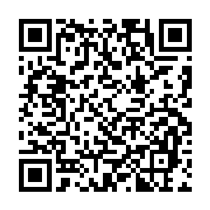 那锁链拖曳的金属升降平台已经缓缓升到了众人脚下二维码生成