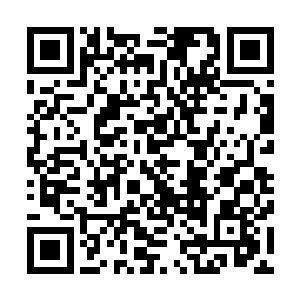 那长老的战斗力可是要比外面那些普通红级高手墙上很多的二维码生成