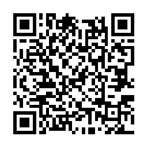 那随风飘扬的光晕让所有一切看起来都是如此美貌二维码生成