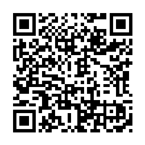 那震耳欲聋的爆破声完美遮掩了苏凡的一切痕迹二维码生成