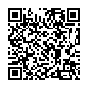 那青光的炽热已经恐怖到了主宰境都难以承受的程度二维码生成