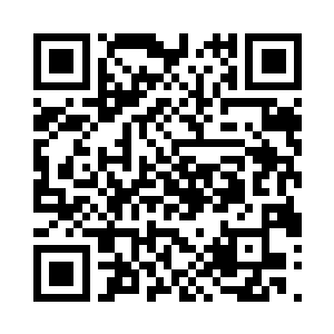 那青年却是直接普通一下跪倒在了地上二维码生成
