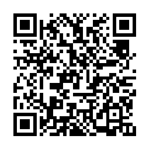 那青年看着弓藏血跟湘西宫两个人刻意堵在那里二维码生成