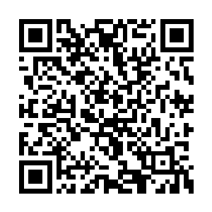 那领主便知这绝对是域主大人们要搜寻的目标了二维码生成