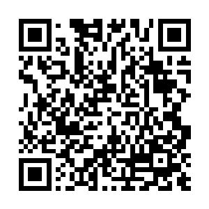 那颗晶莹剔透的珠子突然间开始放射出无比璀璨的光芒二维码生成