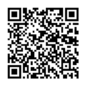 那风奇泽极有可能可以通过神行仙游看到这里曾经发生的事情二维码生成