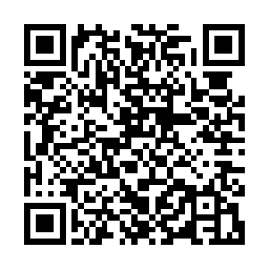 那飞船上道魂界的十万修士妖族恐怕即刻便要全部遭受灭顶之灾二维码生成