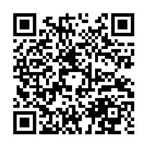 那骇人的巨大狼牙棒不要命似的往护墓兽身上招呼二维码生成