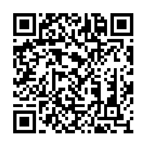 那高壮的男孩子扯了女子的头发拖着她往内而去二维码生成