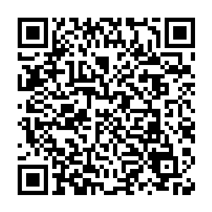 那鬼剑老人显然还惦记着吴岩身上携带的大量高阶灵石和高阶魔晶石二维码生成