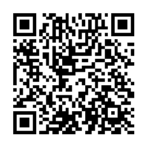 那魔教的左护法对灵气的波动感应不会比叶然差上多少二维码生成