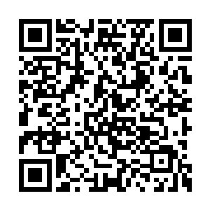 那魔法圣殿必然会对九星会和我进行大规模报复二维码生成