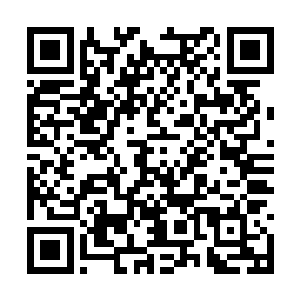 那魔法师此时额头上也开始渐渐的冒出丝丝的细汗二维码生成