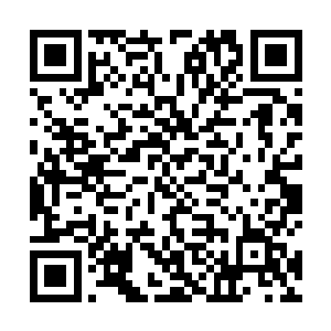 那魔蛇岛的贝鲁斯肯是不是……是不是已经被你干掉了二维码生成