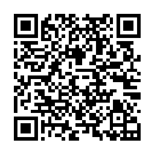 那鳞衣女子的脸色在听到那声音徒然变得苍白异常二维码生成