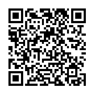 那黑脸汉子的砍山刀已在万千花瓣的切割中裂成无数碎片二维码生成