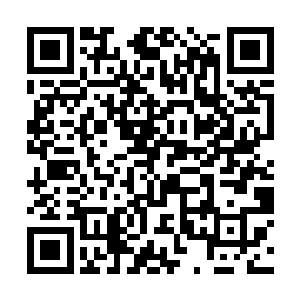 那黑色的水竟然让小不点进化成为了黄金寻宝鼠……二维码生成