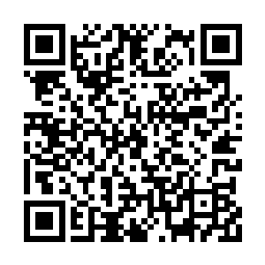 那黑袍人赫然已经达到了恐怖的主神顶峰的境界二维码生成
