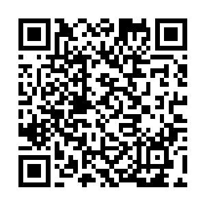 那黑鳖精的鳖壳之上亮起的玄元幻蜃神光也越来越亮二维码生成