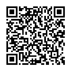 那jiushi可以再坚持两百多个小时将近三百个小时二维码生成