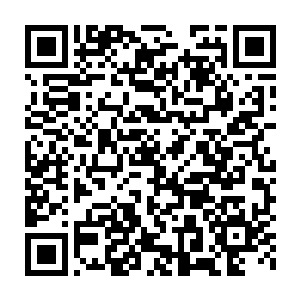 邪真和那几个各个门派家族的核心年轻人自然也都明白了他们俩的关系二维码生成