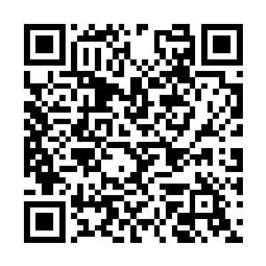 邪神幼苗中的雷火之力毫无保留的灌注到凤血枪上二维码生成