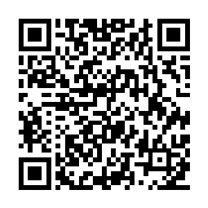 邪长老提前就留下了自己的元神隐藏在蕴魂玉中二维码生成