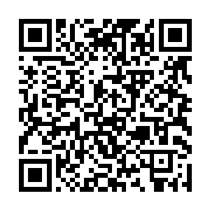 邵泾川和汪正熹的汇报中都提到了需要一个得力助手二维码生成