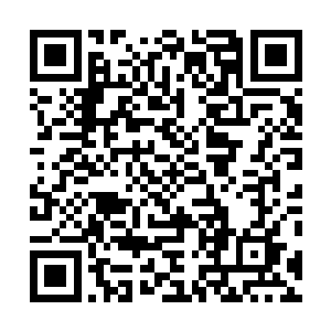 邵玄原本打算去嗑嗑那边看下他养的那几只食肉鸟的情况二维码生成