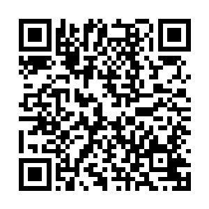 邵玄指着河边山上一处凸起的岩石上所刻画的图腾二维码生成