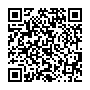 邵玄甚至还看到有一些仙人掌上竟然附着着地衣一类的植物二维码生成