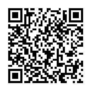 邵玄用前段时间狩猎到的凶兽兽骨制作了十块骨碑二维码生成