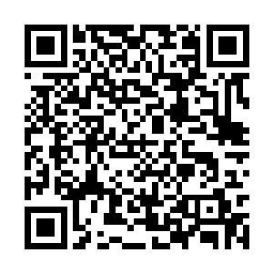 邶厉用极细的雾丝勾勒出他心中的世外桃园规划图二维码生成