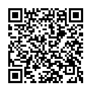 郁桐突然转过身将一条长命锁就朝着我扔了过来二维码生成