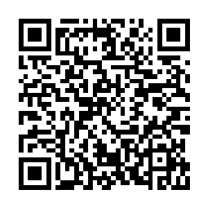 郎霆烈与其他保镖按照惯例检查准备乘坐的汽车二维码生成