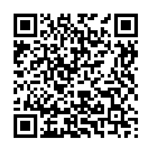 郑姨才拜托自己要好好照顾姗姗多跟她沟通开导她来的二维码生成