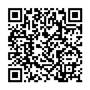 郑重甚至专门打电话连夜叫了几个年轻专家过来二维码生成