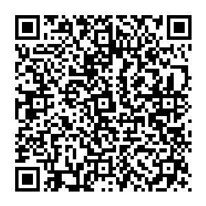 郝云峰下手极快一掌直接拍在了郝大山天灵盖上郝大山双腿一蹬眼珠子中神华黯淡下去就这样死掉了二维码生成