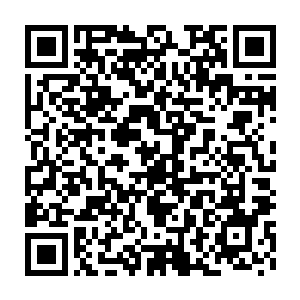 郝大山十分不甘突然爆发出了一股极强气势一柄黑色小剑刺向了郝云峰二维码生成