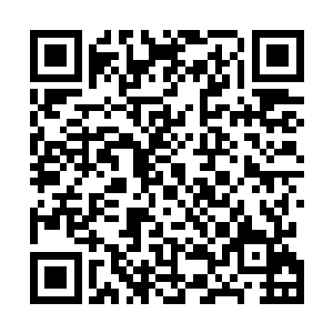 郝美丽却是趁着这个机会不着痕迹将众人的目光看在眼里二维码生成