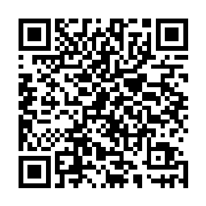 郡王妃显然没想到丈夫一开口就把自己想说的话给堵回去了二维码生成