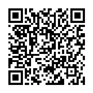 郭云芳直接就拉着这里除了她之外的另外一位女性乔欣二维码生成