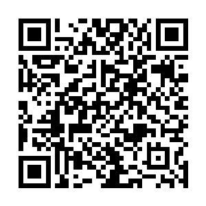 郭偿一个新加入的什么都没干的菜鸟都能领一千万积分二维码生成