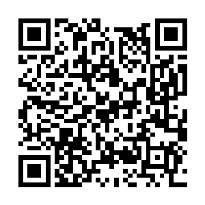 郭见龙和秦宇两人蹑手蹑脚的走到墙壁的洞穴口处二维码生成