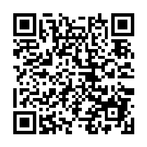 都一脸好奇地用英语询问doctor史密斯是怎么一回事二维码生成