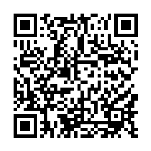 都不愿意将精力放在修炼这种不具备攻击力的术法上面二维码生成