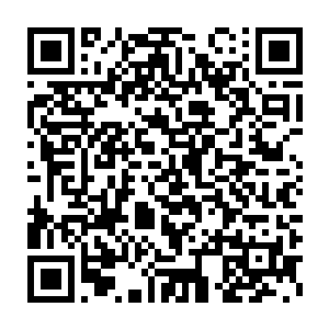 都不用与原主融合以及适应期等等就能拥有自己本体的所有的手段二维码生成