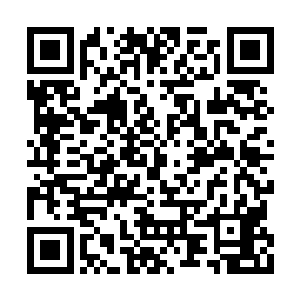 都不由得对萧易生出了一种高山仰止的仰慕之色二维码生成